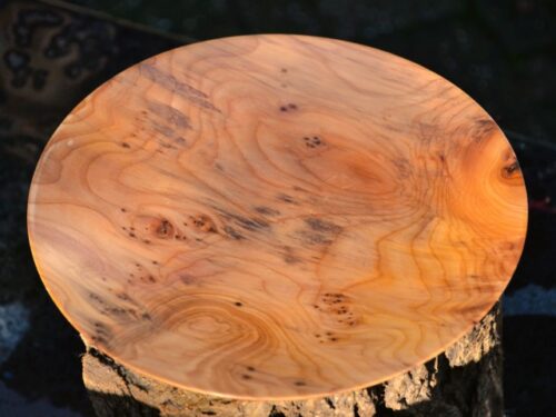 houten bordje van Taxus