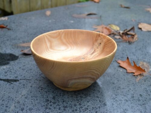 schaaltje van esdoorn