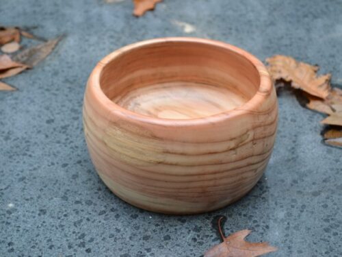 schaaltje van sequoia